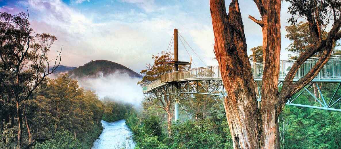 Tahune Airwalk