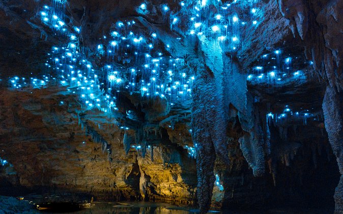 Glow-worm caves