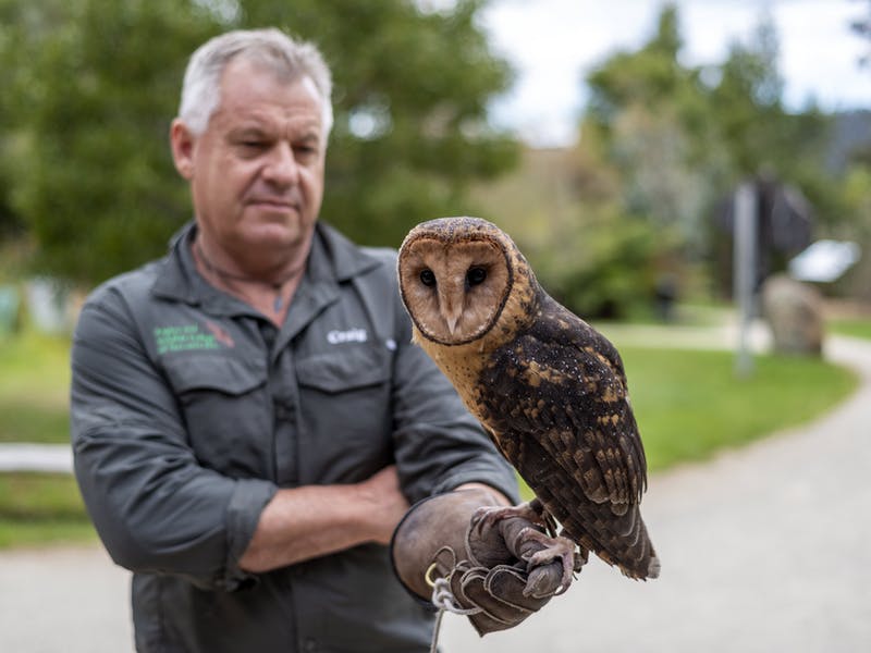 Raptor Refuge