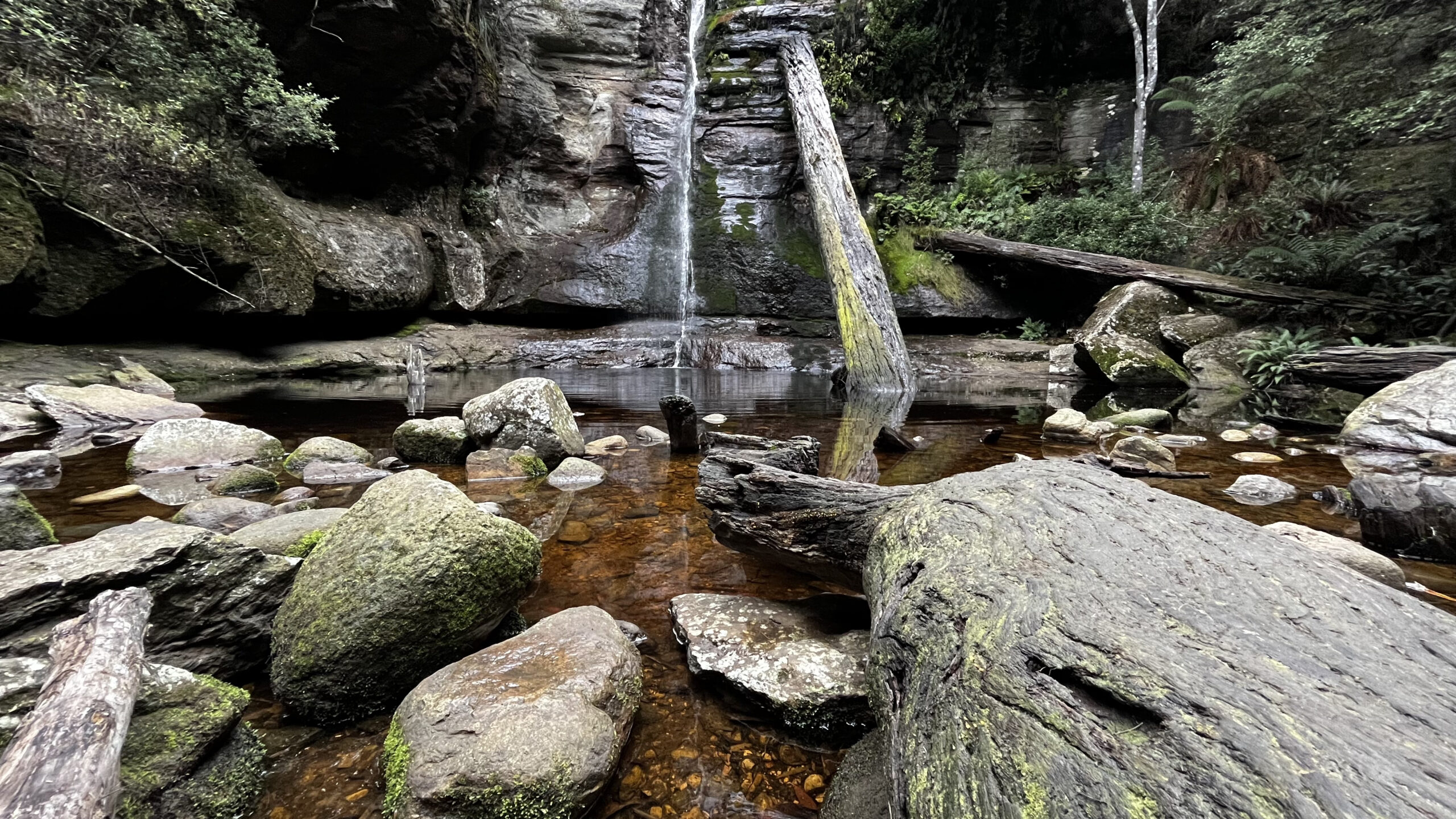 Waterfall in southern Tasmania